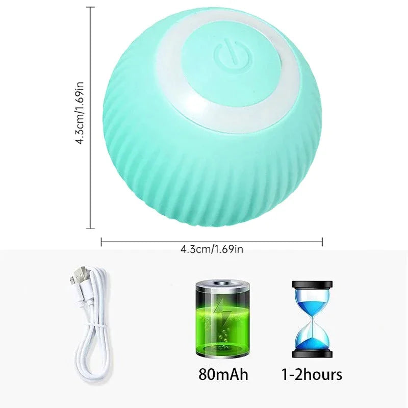 Rolling Fun Ball