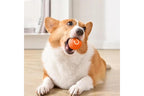 Rolling Fun Ball