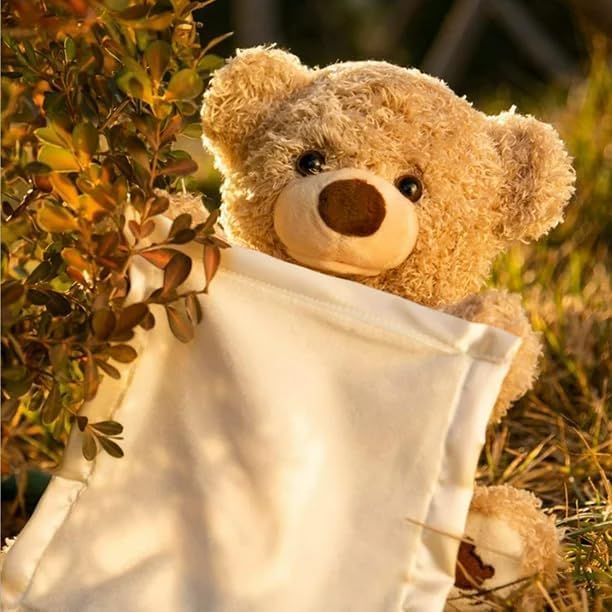 Peeky Boo Bear