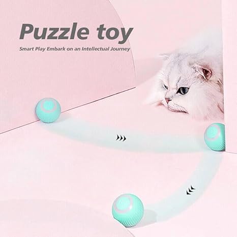 Rolling Fun Ball