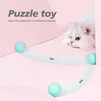 Rolling Fun Ball