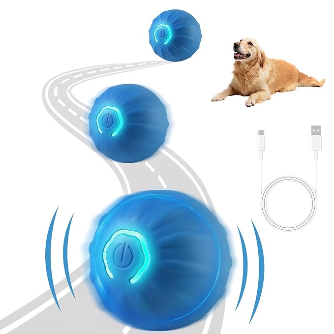 Rolling Fun Ball