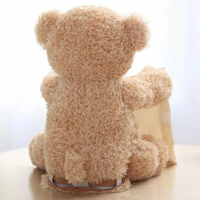 Peeky Boo Bear